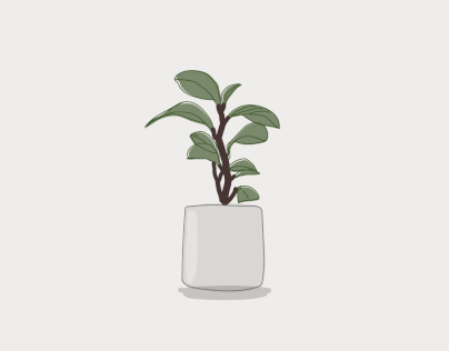 Plant Illustration Project