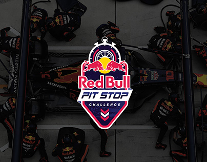 RED BULL PIT STOP 2019