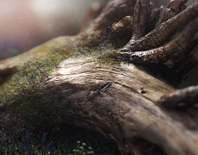 Forest 3d