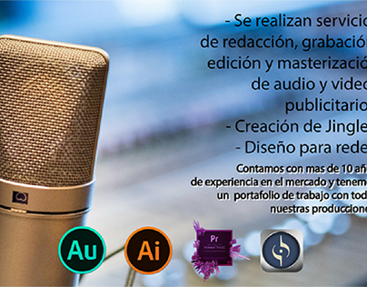 Audio Publicitario