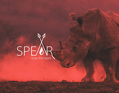 Spear - Brand development & Expansion