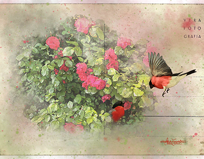 "Cardinal Birds and Red Wild Roses"