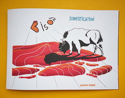 Bison Domestication