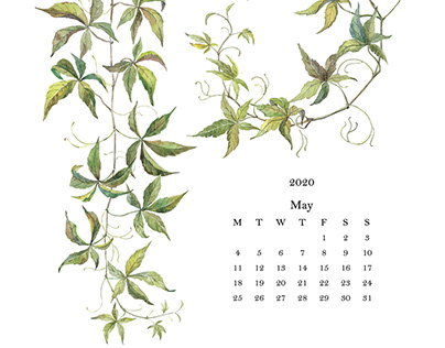2020 Botanical watercolor calendar