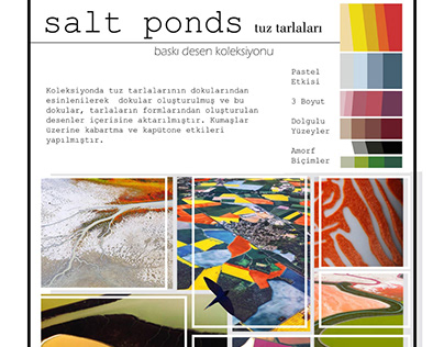 Salt Ponds