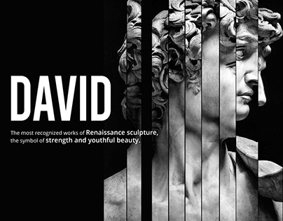 Purposefully fragmented | Michelangelo’s David