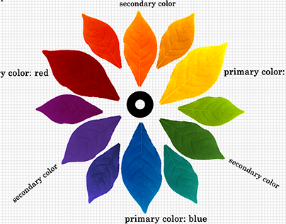 Digital Color Wheel: Learn your colors!