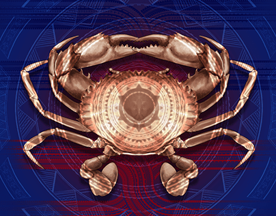 Paka - Crab