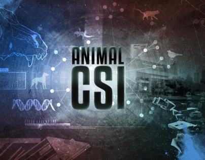 CSI Animal
