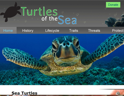 Turtles of the Sea website