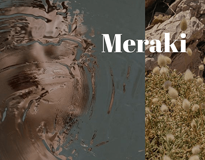 Meraki skincare | Web design