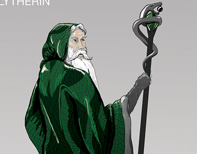 Slytherin & Gryffindor Character Concept