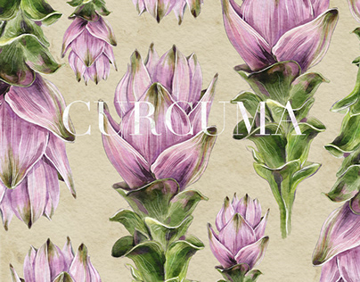 Botanical pattern with Curcuma flowers illustration