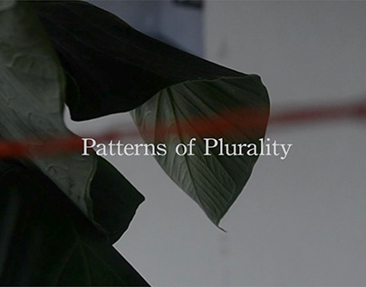 複數型態 Patterns of Plurality