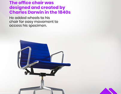 facts on office chair, by charles darwin