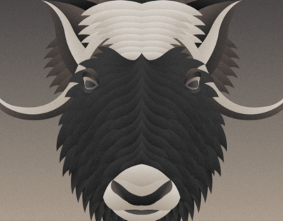 Project thumbnail - Musk ox - graphic art