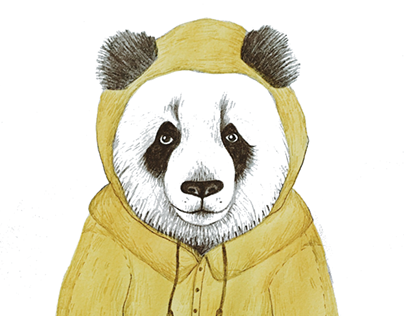 panda in a raincoat