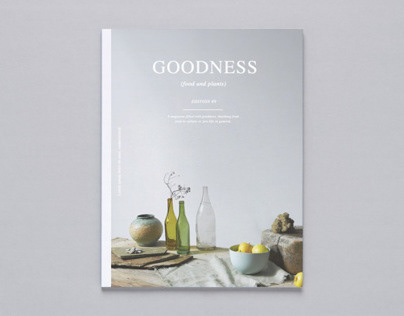 Goodness Magazine (concept)
