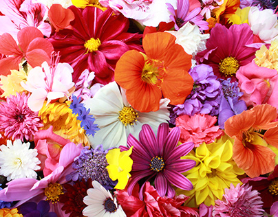 Flower arrangements dubai
