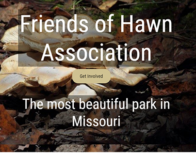 Friends of Hawn Association Website