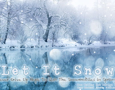 Let It Snow ~ Fox Valley Web Design LLC