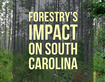 Social Media Campaign Forestry's Impact on SC