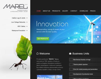 Marel Web Design