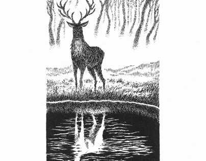 Deer at pond