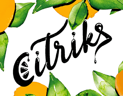 Citriks Studio / Branding