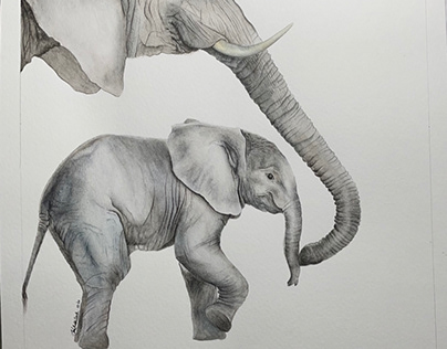Mother elephant with her calf, watercolour illustration