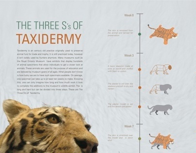 The Three S's of Taxidermy: Informational spread