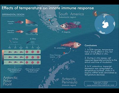 Effects of temperature on immne response of fishes