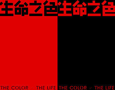 生命之色电影装置艺术展The color/The life