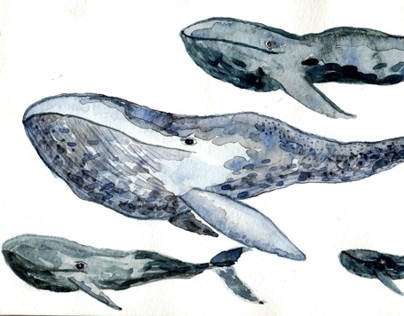 under the sea - watercolours