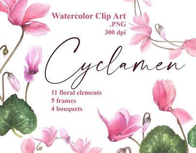 Cyclamen watercolor clipart