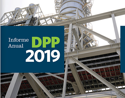 DPP Annual Report 2019