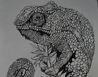 Sketchs; Chameleon inspired.