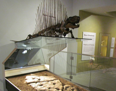 Las Cruces Museum of Nature & Science