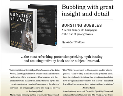 Design Solutions I - Book Cover (Bursting Bubbles)