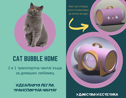 Cat bubble home