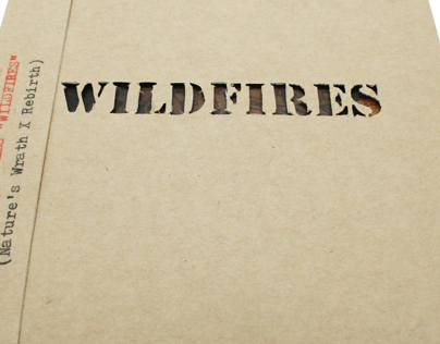 Earth beat: Wild fires CD packaging