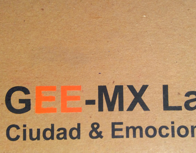 Gee MX lab
