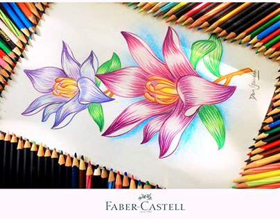 Ad Campaign for Faber Castell