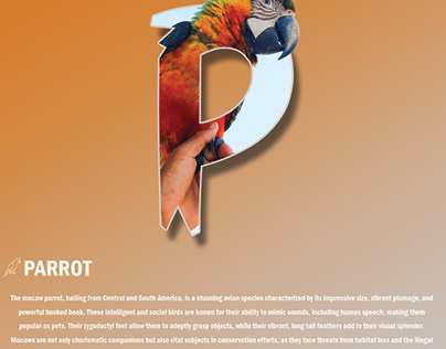Create A Parrot Poster Design In Adobe Photoshop