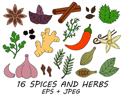 Set spices, condiments and herbs