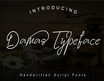 Damas Typeface is a handwritten script fonts