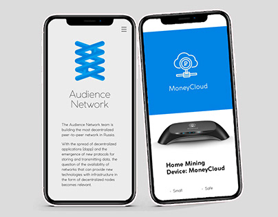 Logo and website design for the Audience Network