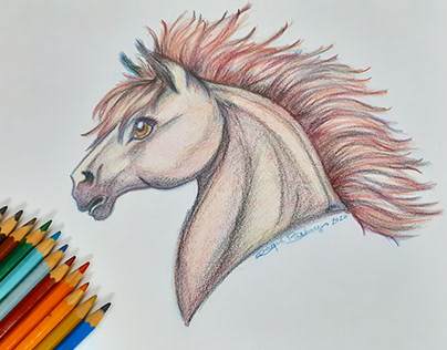 Study with colored pencils