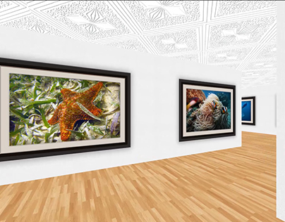 Galería 3D - Exposición de Fotografía Submarina