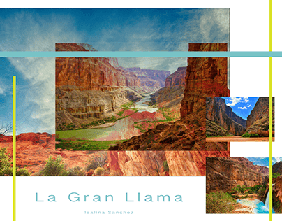 La Gran Llama Active and Outerwear Collection